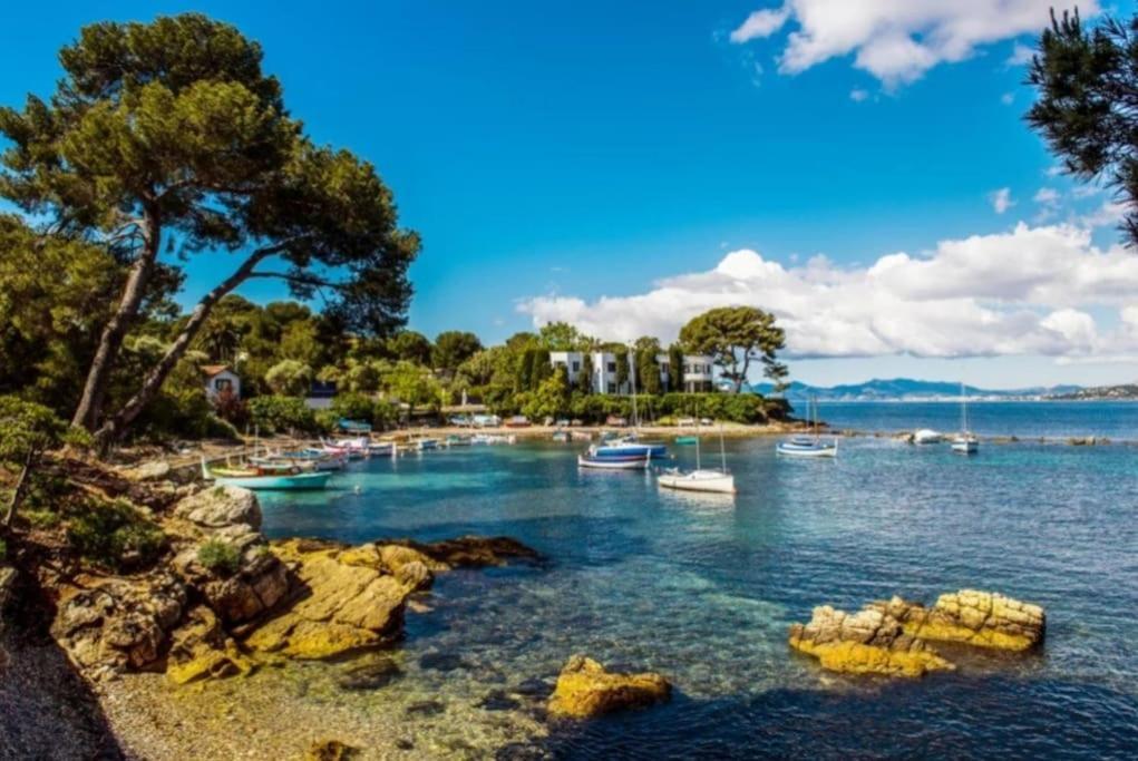 Charmant Studio Renove A Antibes, Plage A 10 Min A Pied エクステリア 写真